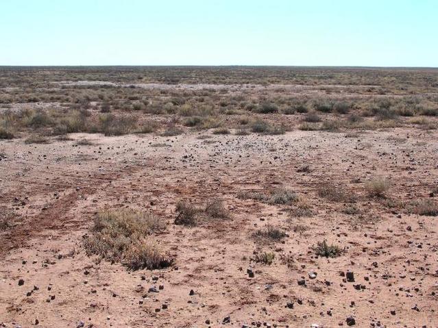 View of the confluence area, showing tracks of previous visitor(s)