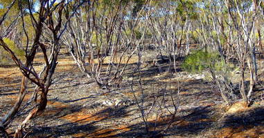 #1: General View of Confluence Area