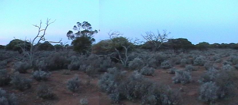 Panoramic view of the area. The confluence point is in the middle of the picture.