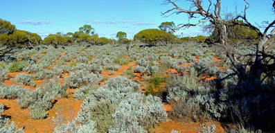 #1: General View of Confluence Area