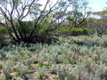 #2: Looking North from the Confluence