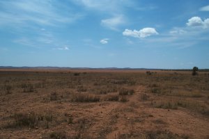 #1: Looking North from confluence