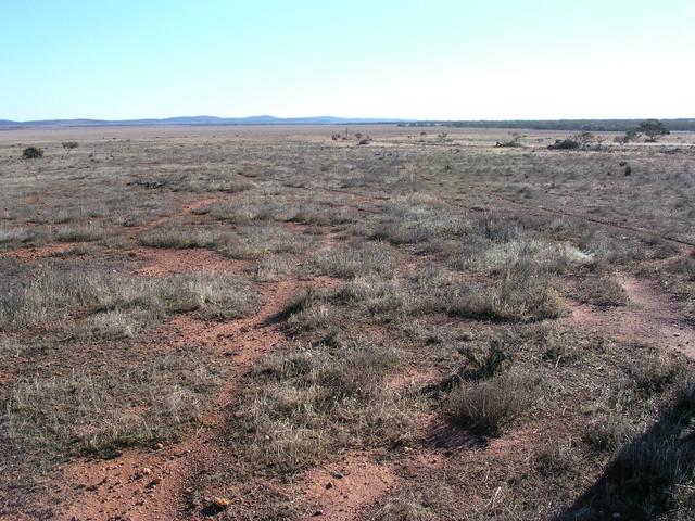 View of the general area at the confluence point