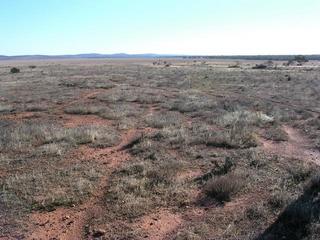 #1: View of the general area at the confluence point