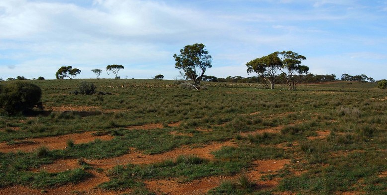 General View of the Confluence Area