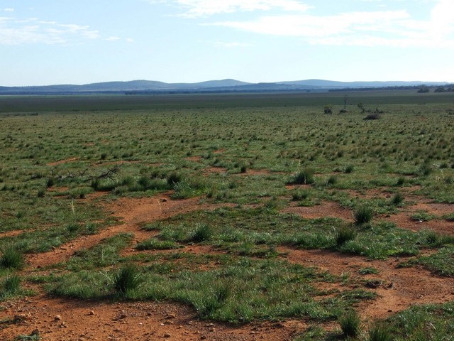 Looking North from the Confluence