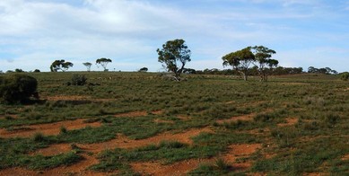 #1: General View of the Confluence Area