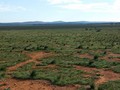 #2: Looking North from the Confluence