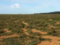 #3: Looking South from the Confluence