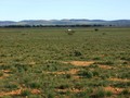 #5: Looking West from the Confluence