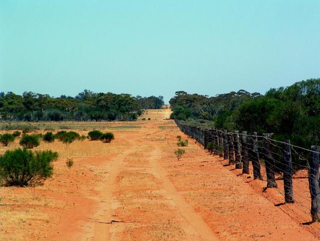 The Confluence at 33°South - note fence is on 141°East