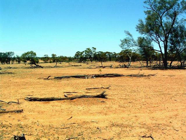 View from confluence looking east