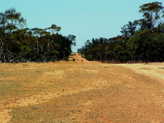 View from confluence looking south