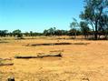 #3: View from confluence looking east