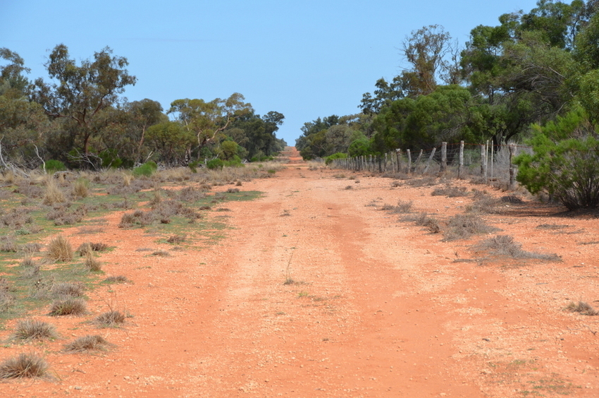 Looking south down the State Border fence