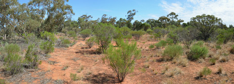 #1: General view from the Confluence 