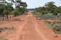 #12: Looking south down the State Border fence