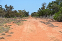 #13: Looking south down the State Border fence