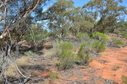 #2: Looking South from the Confluence