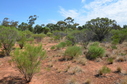 #3: Looking West from the Confluence