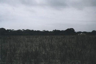 #1: View east including heap of limestone.