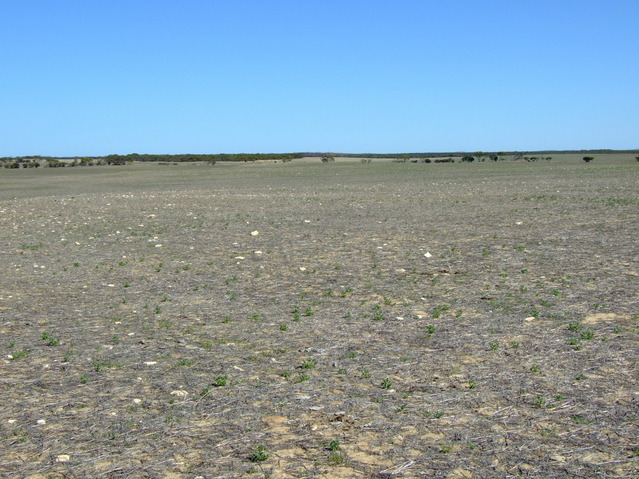 Looking North from the Confluence