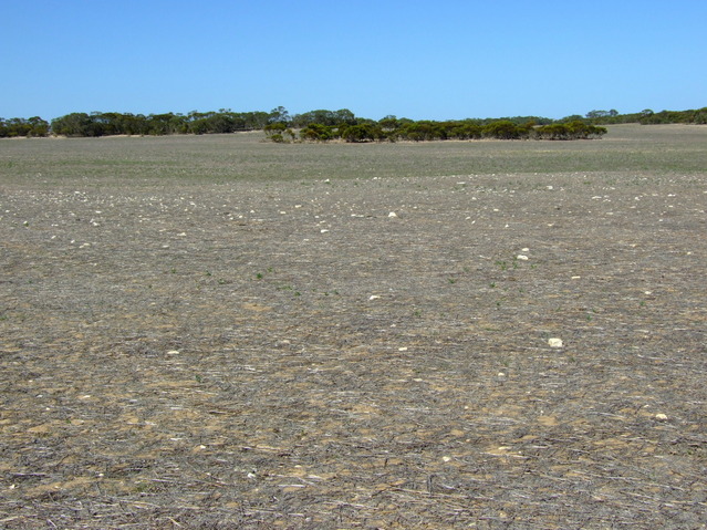 Looking South from the Confluence