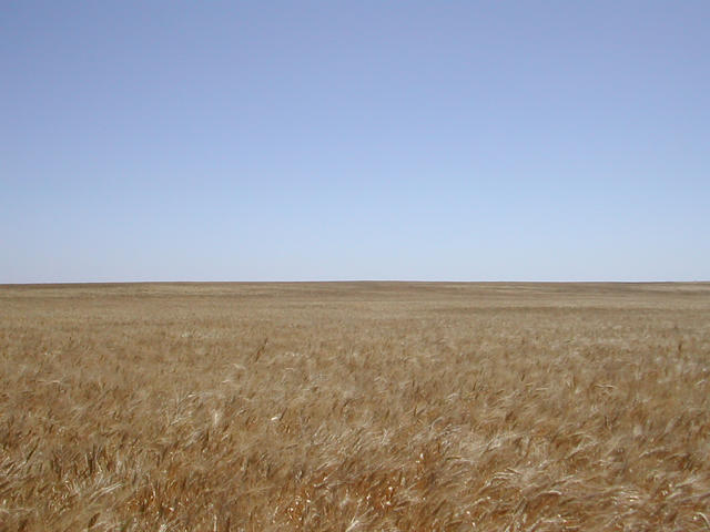 General view of the confluence.