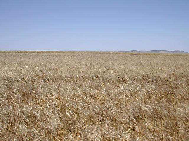 East view of confluence