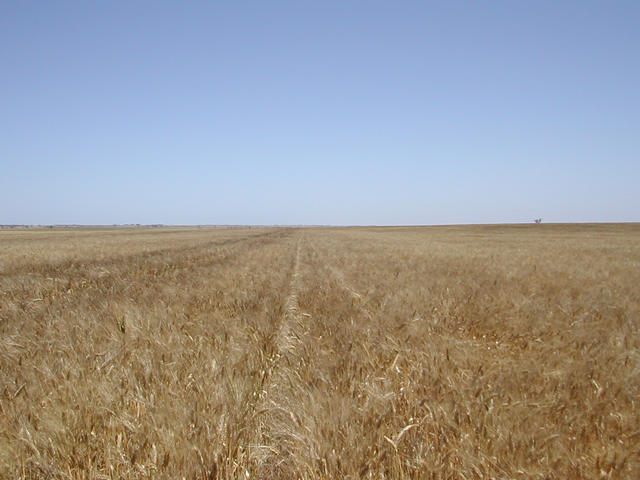 South view of confluence