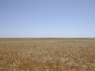 #1: General view of the confluence.