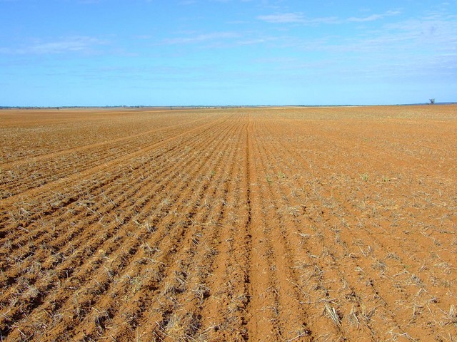 Looking South from the Confluence