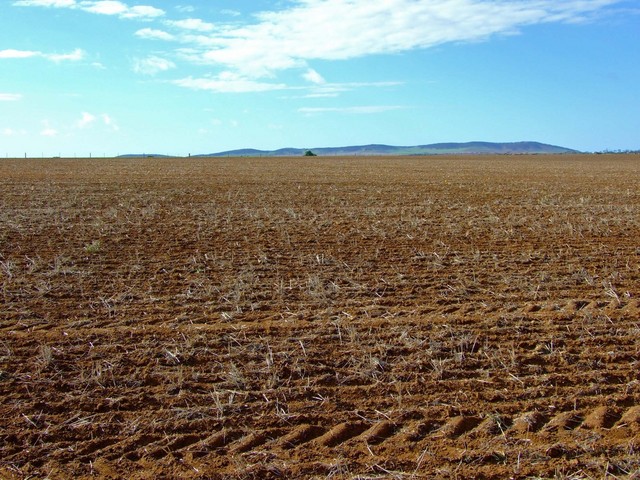 Looking East from the Confluence