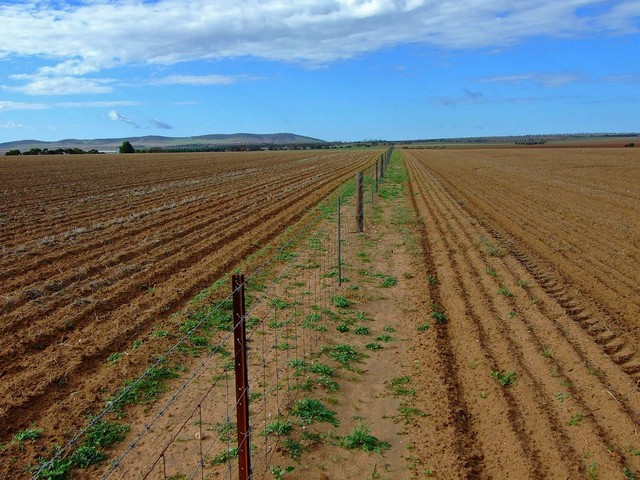 In Hind Sight, we should have followed this fenceline to within 100 metres of the Confluence