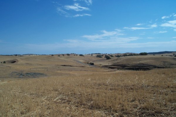 Looking South at the access road. Can just see the car parked at the gate.