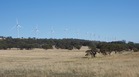 #8: A line of wind turbines, passed en route to the point