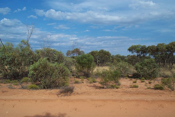 Looking towards the confluence from the track