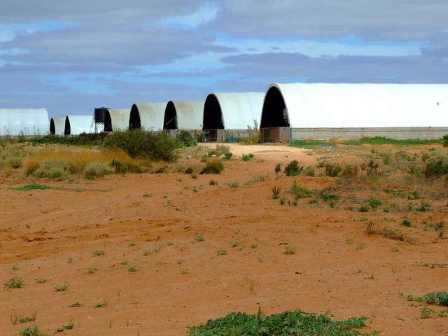 These are the pig sheds that you will pass on Lunn Road heading towards the Confluence