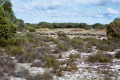 #3: Another view from the confluence point.  (The survey marker in photo 2 is visible in the background)