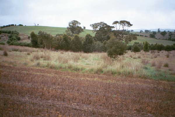 Looking north-west from the confluence point