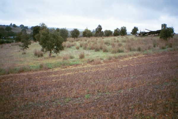 Looking north from the confluence point