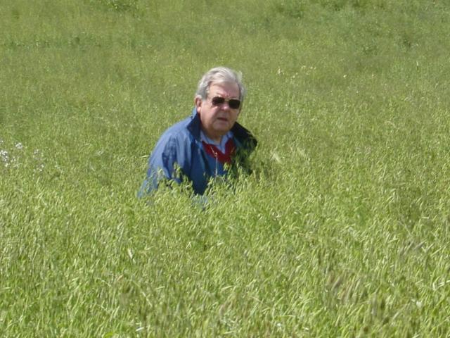 Peter at confluence point, up to his armpits in oats