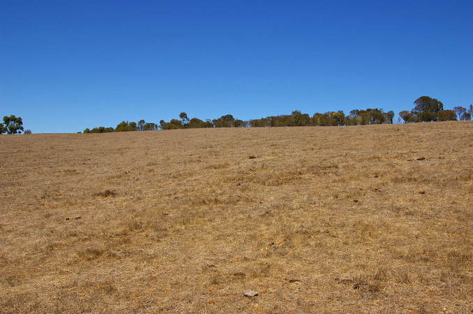 Looking South from the Confluence