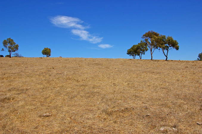 Looking West from the Confluence