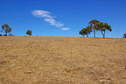 #5: Looking West from the Confluence