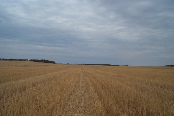 Looking West towards the access road