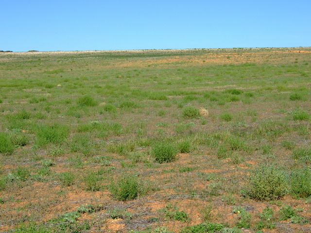 Looking South from the Confluence