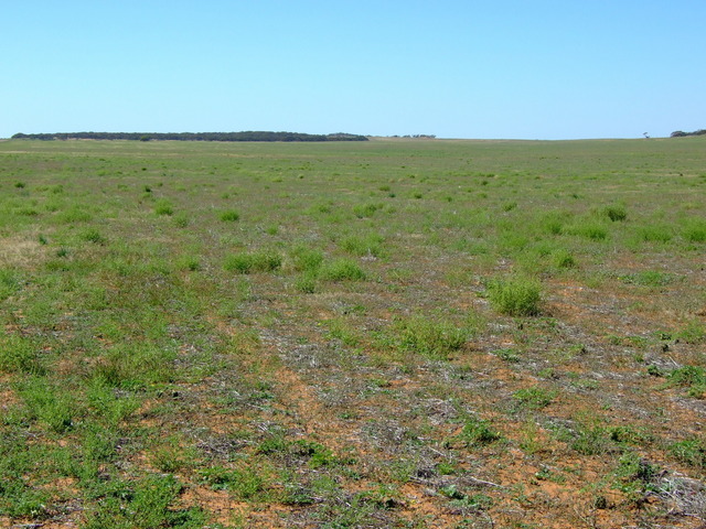 Looking East from the Confluence