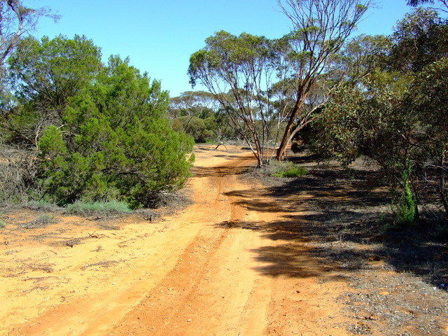 Summer Track leading towards the Confluence