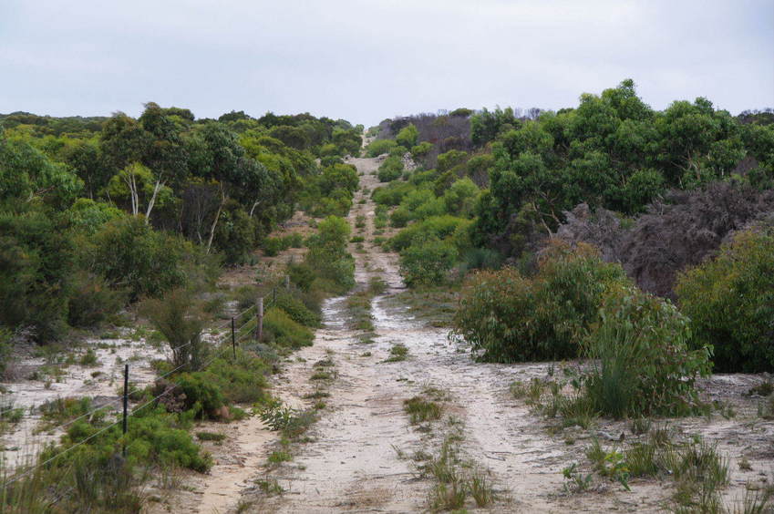 Looking south down the track we followed